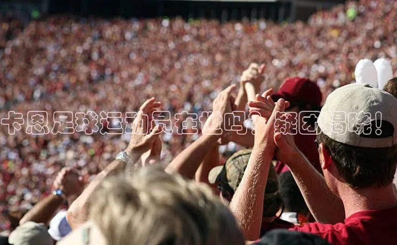 bet·365官网登录入口ARGA公司