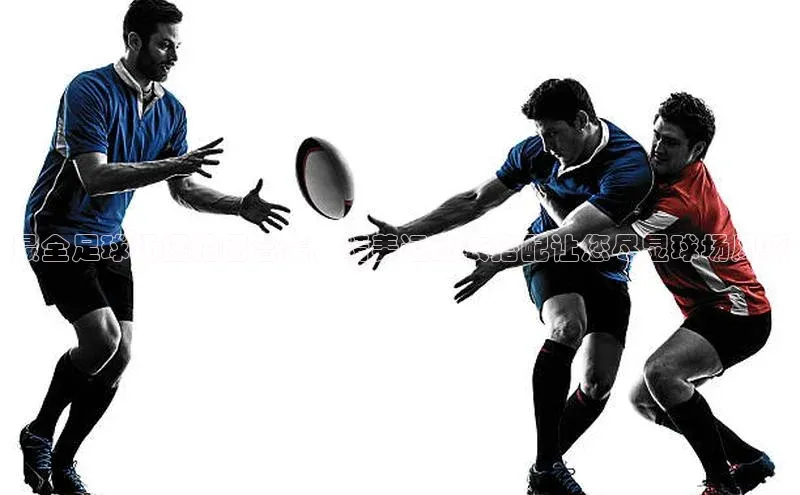 beat365·体育官网百度学术