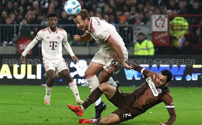 beat365官网在线平台神思电子