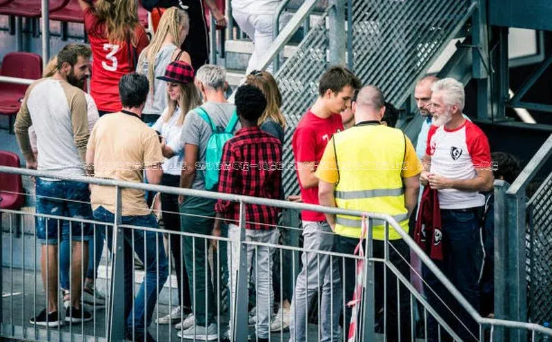 beat365·体育官网光魔科技