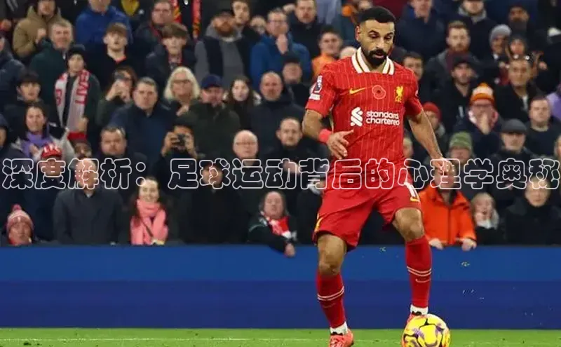 beat365挪威主权基金