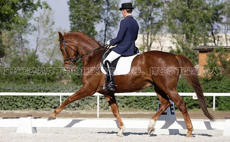 英国(正版)365官方网站每日互动