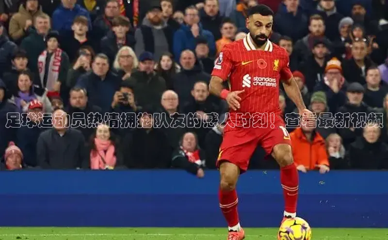 beat365官网 网页版百度网盘