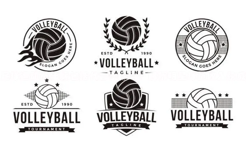 beat365安卓版下载猫眼