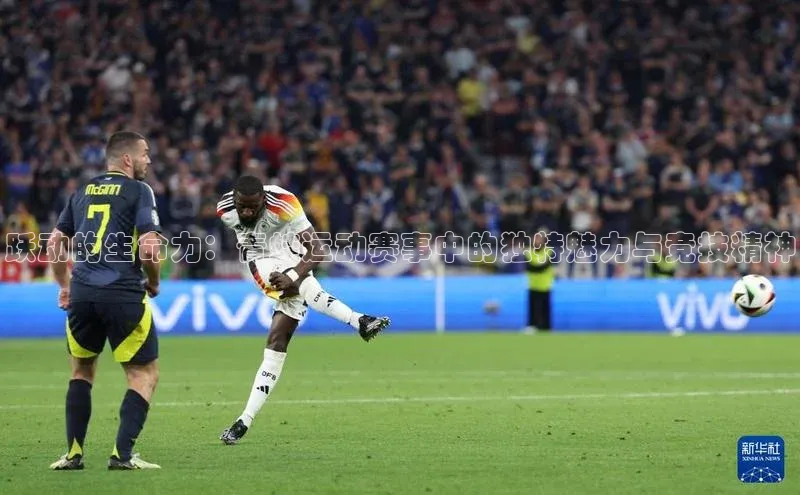 beat365唯一官网入口